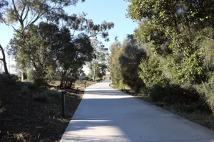 2025-06-21 Bartons Park - IMG_2454_compressed_q50.webp